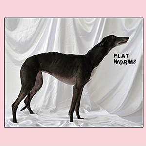 Flat Worms