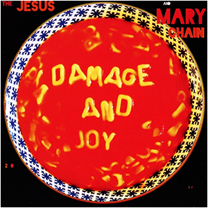 Damage And Joy